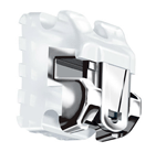 しろがね矯正歯科、姫路、矯正