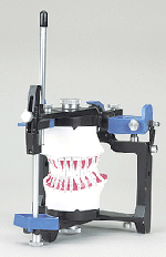 しろがね矯正歯科、姫路、矯正