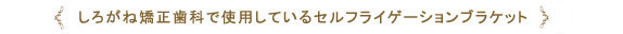 しろがね矯正歯科、姫路、矯正